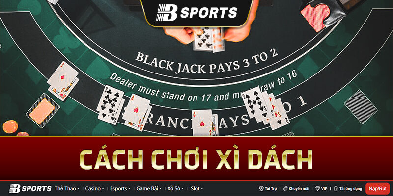 Cách chơi Xì Dách tỷ lệ thắng cao Cách chơi Xì Dách tỷ lệ thắng cao